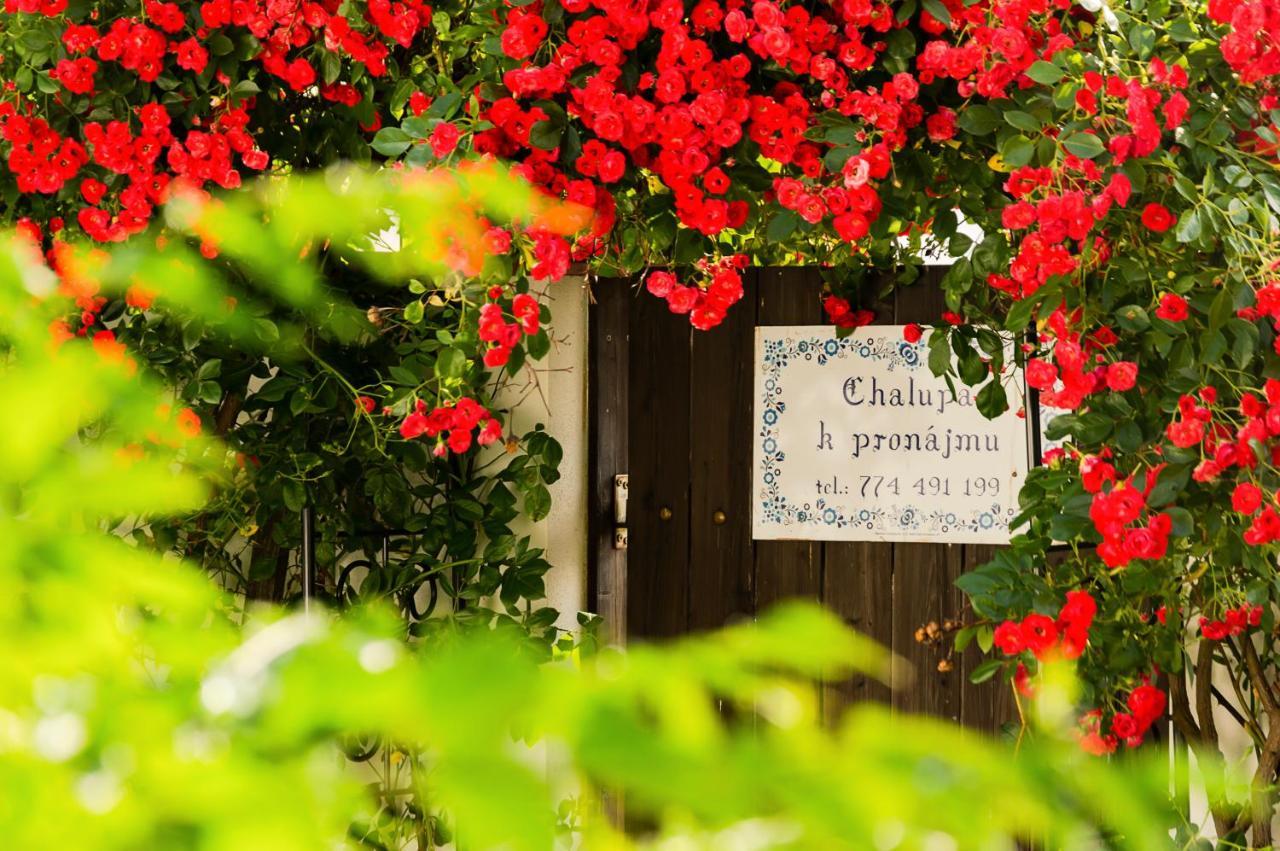 Chalupa U Čápů Nove Mlyny Exterior foto